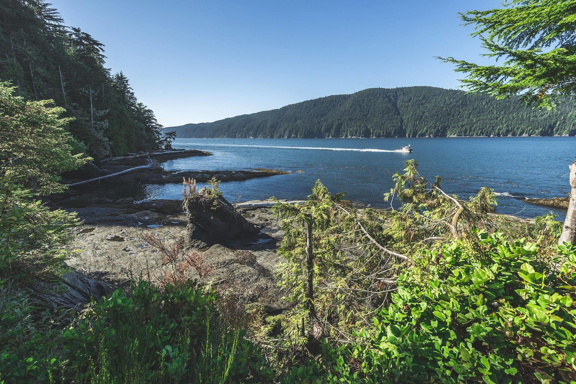 Wild Renfrew Seaside Cottages ポート・レンフルー エクステリア 写真