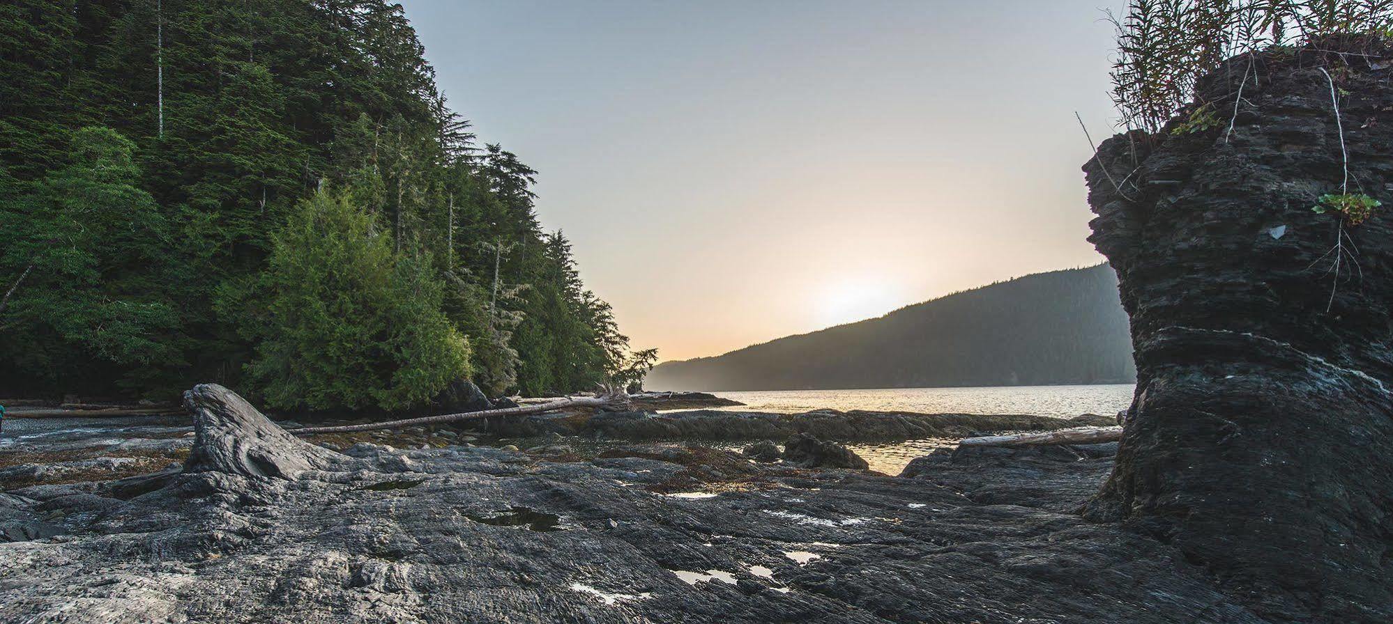 Wild Renfrew Seaside Cottages ポート・レンフルー エクステリア 写真